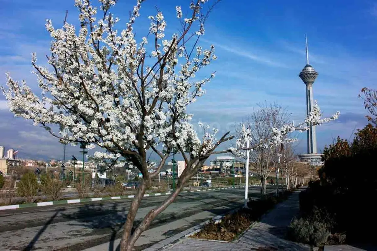 هوای تهران تا سه‌شنبه: صاف، کمی ابری و همراه با وزش باد