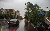 ببینید/ طوفان شدید و رعد و برق در سعادت آباد تهران