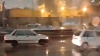 ببینید/ طوفان و باران شدید در پل صدر