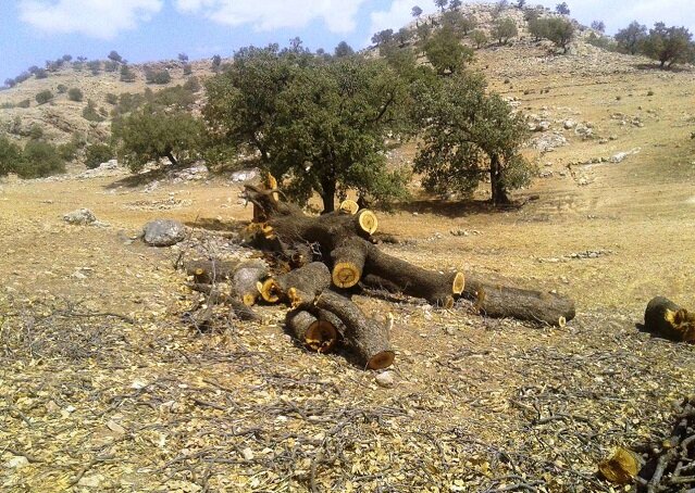 نفس زاگرس به شماره افتاد