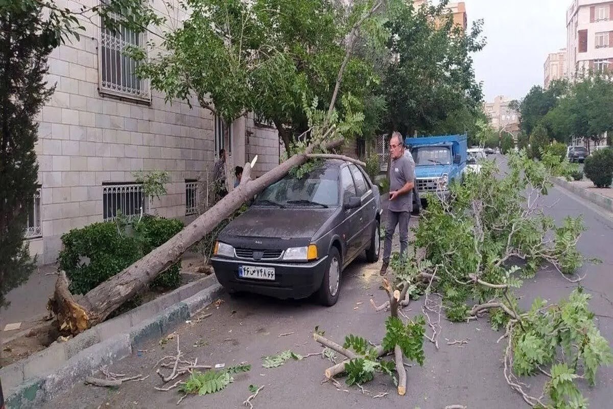 شرکت کنترل کیفیت هوا: طوفان، کیفیت هوای تهران را در شرایط بسیار ناسالم قرار داد
