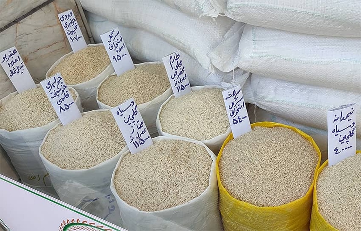 فروش برنج ایرانی با قیمت ویژه در میادین میوه و تره بار