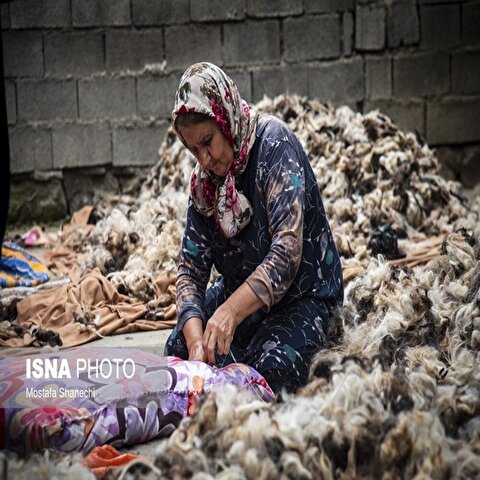 تصاویر: تشک‌دوزی سنتی در روستای «دو آب» - سوادکوه