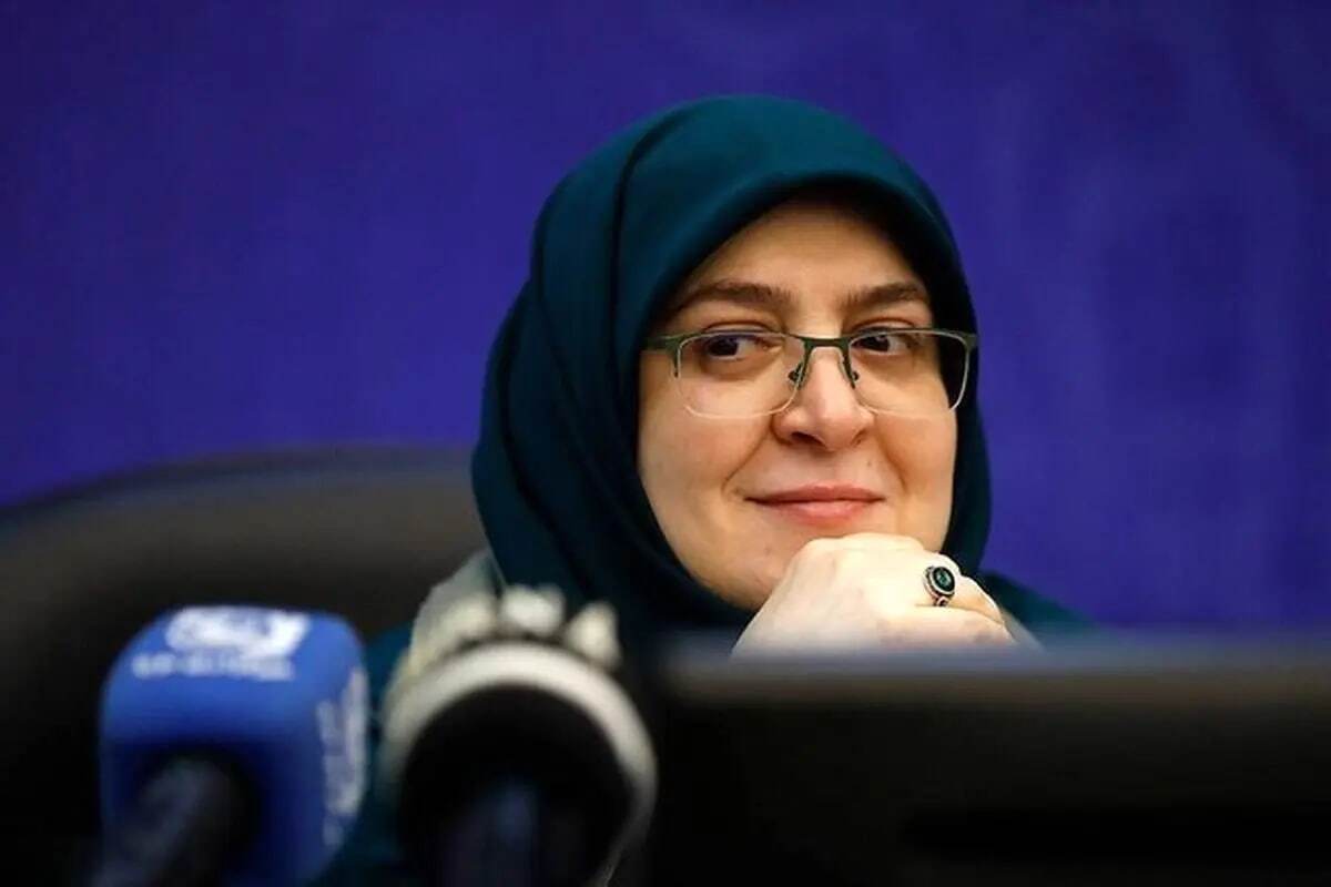 مهاجرانی: دولت در مدیریت مصرف برق پیش‌قدم شد
