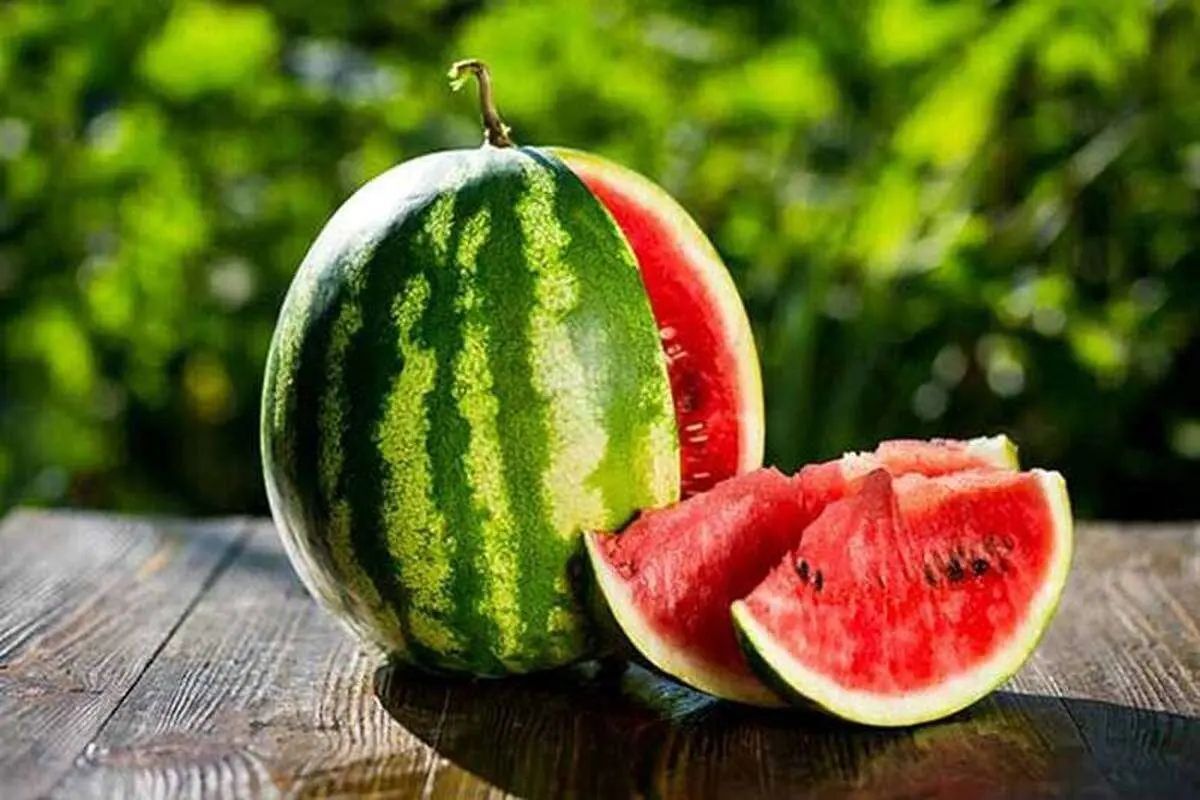 واکنش نماینده مجلس به ادعای نماینده دومای روسیه درباره وجود بیش از حد مجاز نیترات در هندوانه ایرانی: این کار با هدف تبلیغ هندوانه‌های روسی صورت گرفته/ محصولات کشاورزی ما همواره از سلامت بالایی برخوردار است