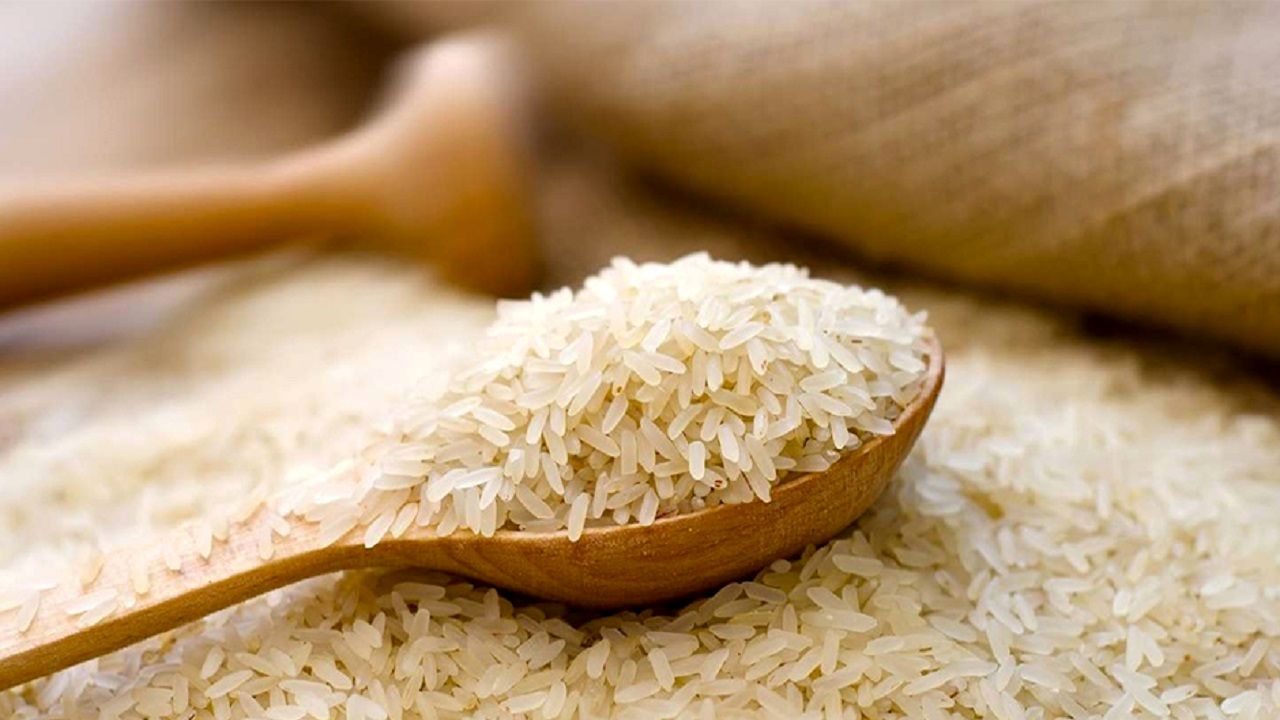 قیمت برنج طارم ۲۵۰ هزار تومانی؛ برنج، مهمان لاکچری سفره‌ها