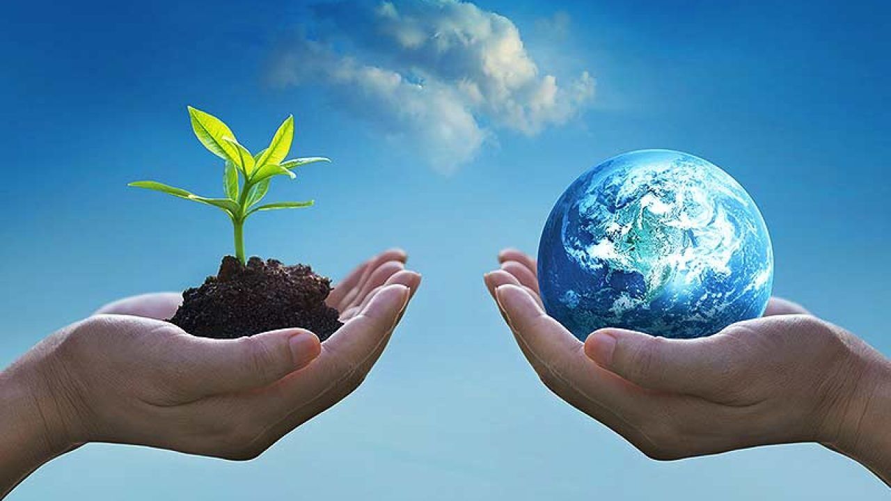 زیست‌بومِ سودآور؛ تولید سبز در منظر سیاست و سرمایه