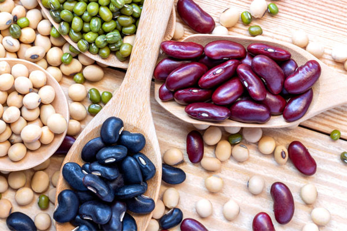 لوبیا ارزان می شود؟