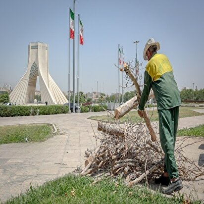 تصاویر: قطع درختان میدان «آزادی»؛ خاک تشنه، درختان بی‌جان