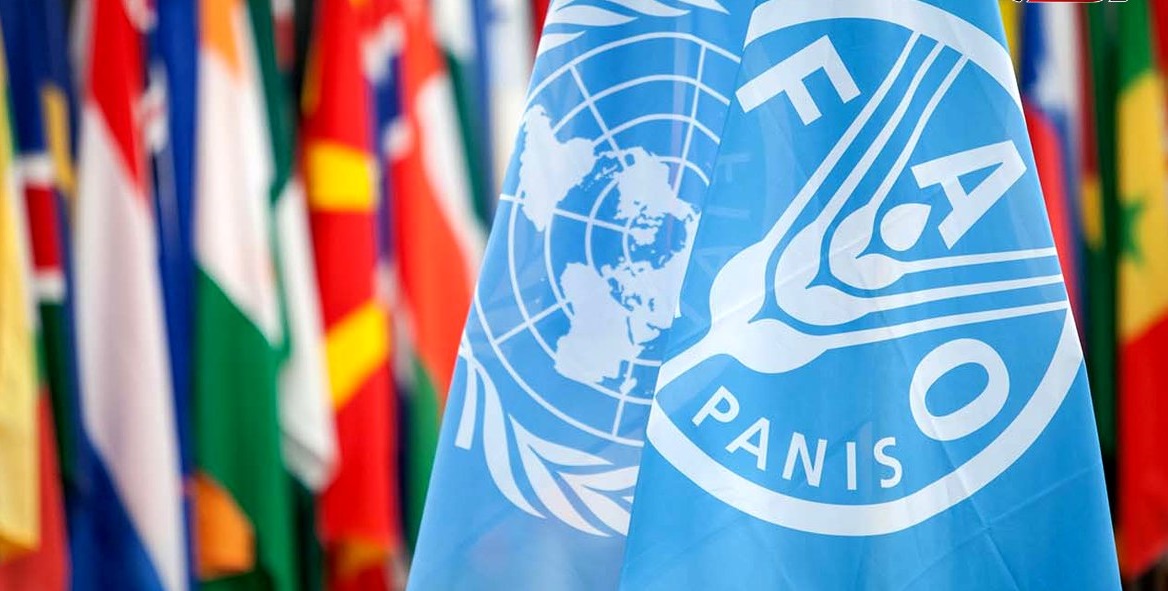 بازگشت ایران به فائو؛ کشاورزی سنتی در انتظار اصلاحات اساسی