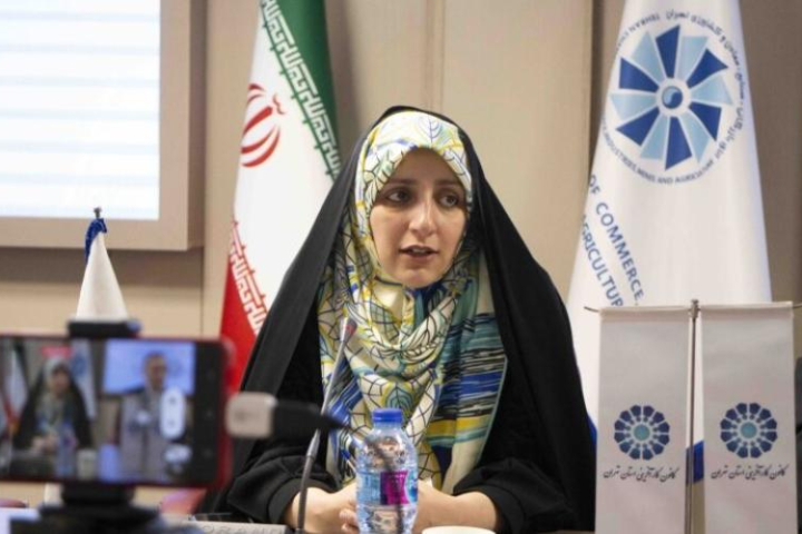 بهروزآذر: طرح اصلاح مهریه باید متوقف شود