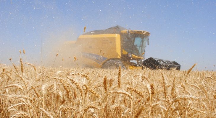 مطالبات گندمکاران تا پایان فروردین تسویه شد