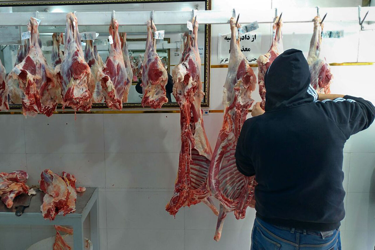هشدار جدی درباره تب کریمه کنگو در بندرعباس