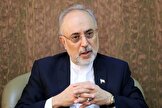 علی اکبر صالحی: بالاخره در مذاکره باید امتیازاتی بدهیم که طرف مقابل بتواند در کشور خود بگوید من این کار را کردم / اینکه همه امتیازات را بگیرید و هیچ ندهید دیگر نیاز به مذاکره نیست