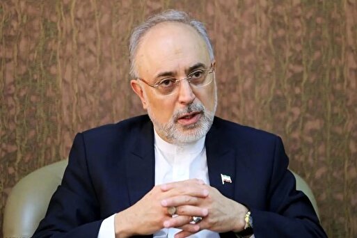 علی اکبر صالحی: بالاخره در مذاکره باید امتیازاتی بدهیم که طرف مقابل بتواند در کشور خود بگوید من این کار را کردم / اینکه همه امتیازات را بگیرید و هیچ ندهید، دیگر نیاز به مذاکره ندارد