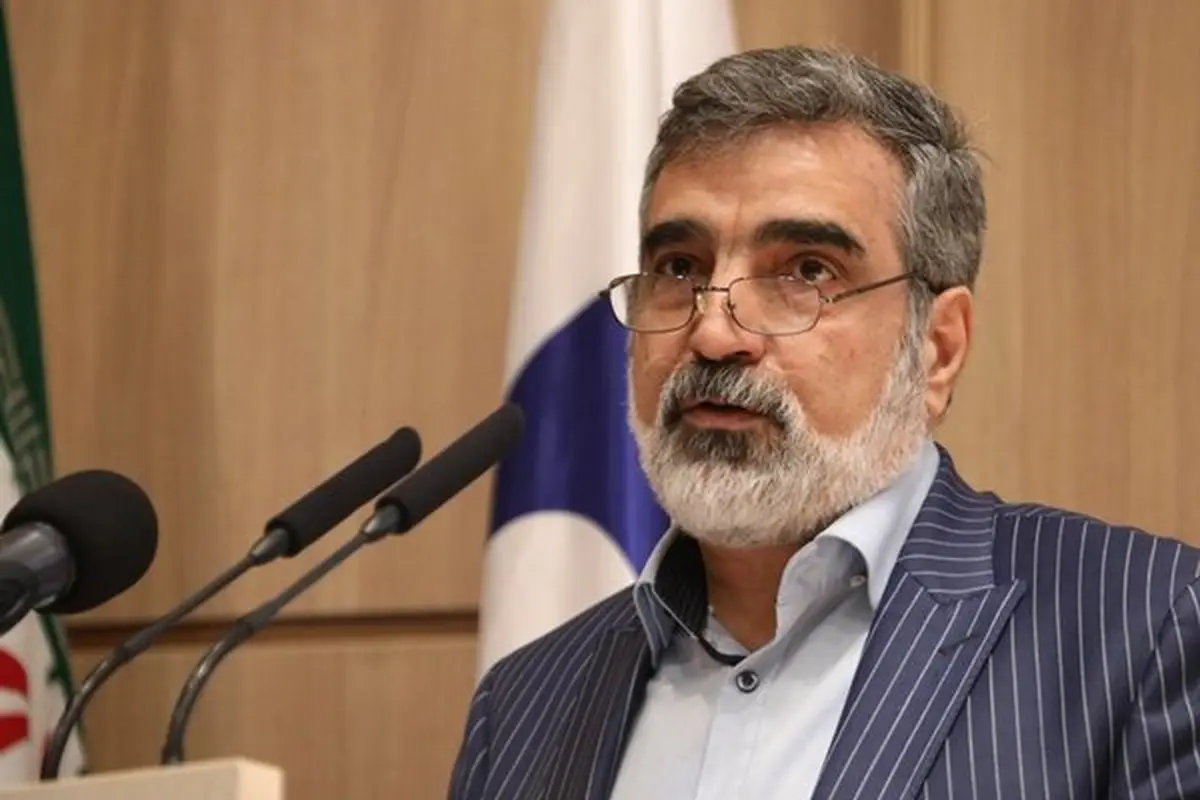 کمالوندی: قدرت ایران کلید مقابله با چالش‌های بین‌المللی است