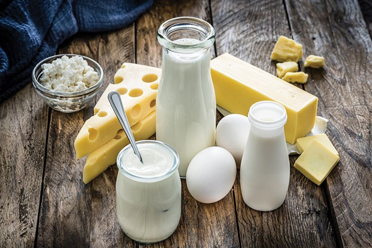 افزایش هزینه تولید؛ دلیل اصلی گرانی لبنیات در بازار