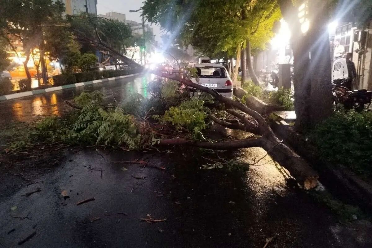 مدیریت بحران: طوفان شدید با سرعت ۸۰ کیلومتر در ساعت، کمتر از یک ساعت دیگر به پایتخت می‌رسد